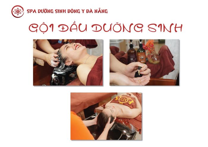 Spa Dưỡng Tâm - Ốc đảo thư giãn giữa lòng đô thị