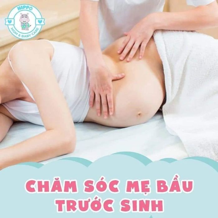 HIPPO MOM & BABY CARE ảnh 1