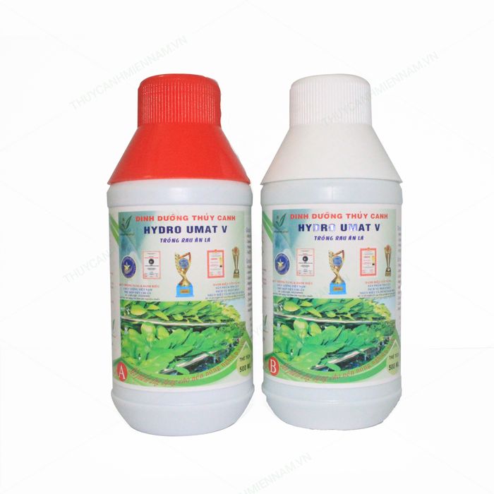 Hình ảnh minh họa số 2: Bộ dinh dưỡng thủy canh Hydro Umat V cho rau ăn lá xanh mướt