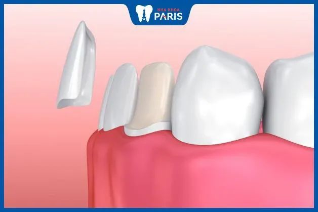 Không gian sang trọng tại Nha khoa Paris Đà Nẵng