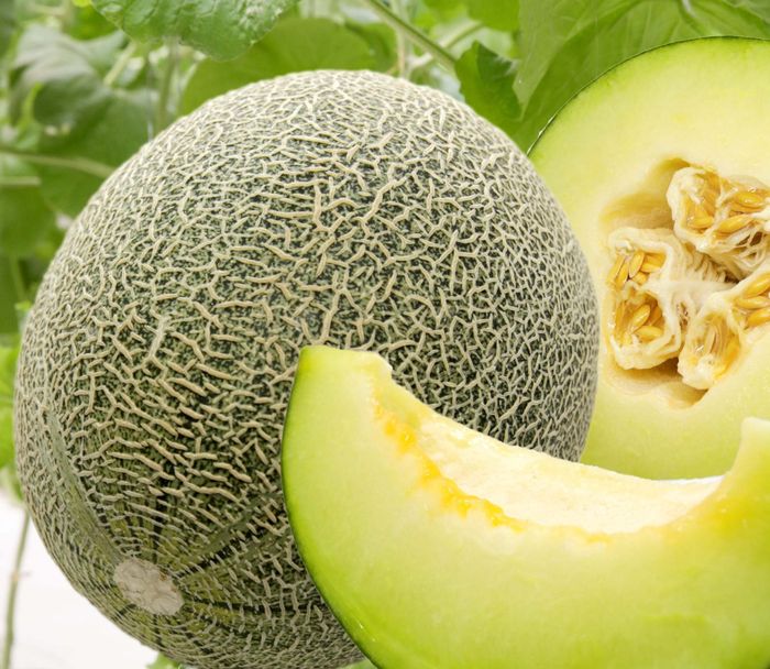 ORFARM ảnh 3
