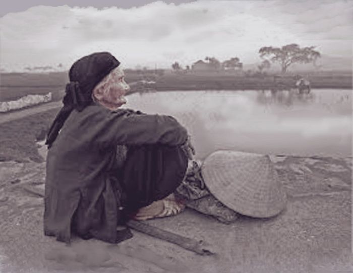 Ảnh minh họa (Nguồn internet) ảnh 1