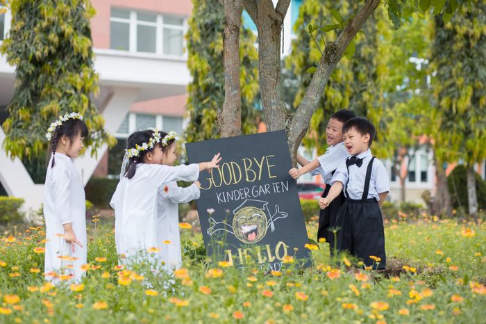 Trường Xanh Tuệ Đức Nghệ An - Hình ảnh 1