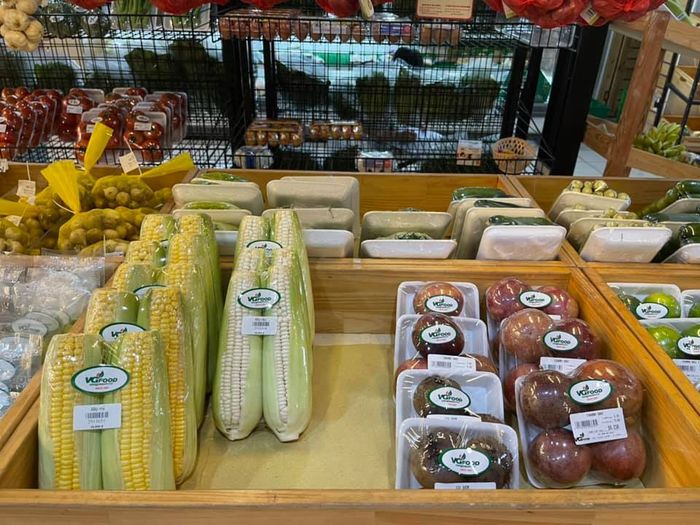 VietGreenfood ảnh 3