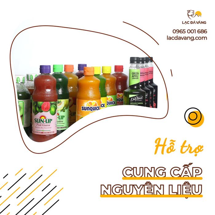 Khám phá không gian đầy cảm hứng tại Lạc Đà Vàng qua loạt ảnh độc đáo
