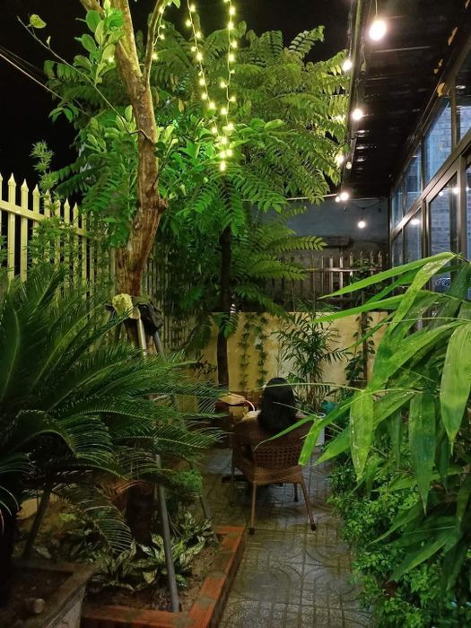 View đẹp mê hoặc tại Cà phê Bảo Giang