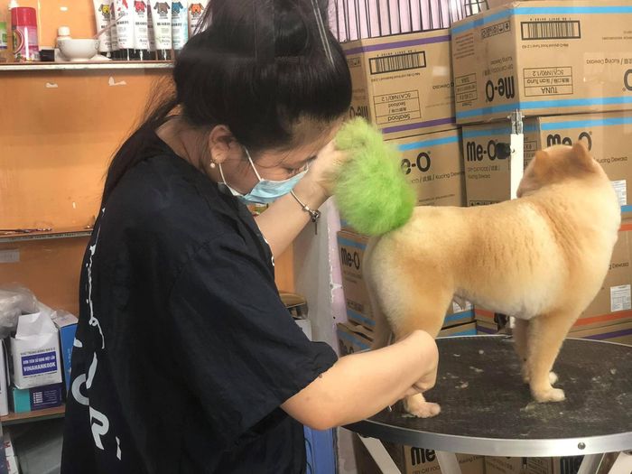 Pet Mini Shop Quảng Ngãi hình ảnh 2