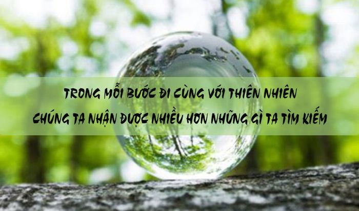 Hình ảnh minh họa số 1 về thực trạng ô nhiễm môi trường (Nguồn: Internet)