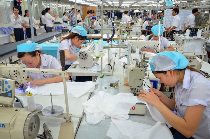 Hình ảnh minh họa ngành Xuất nhập khẩu năng động