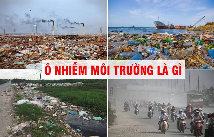 Hình ảnh minh họa số 1 về tác động của ô nhiễm môi trường (Nguồn: Internet)