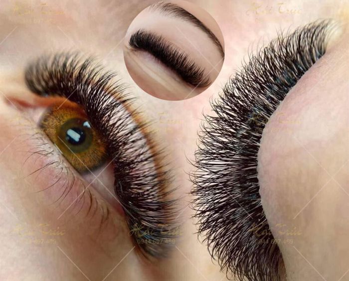 Hải Trúc Nối Mi - Ảnh 2