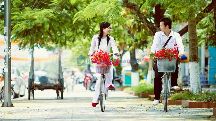 Ảnh minh họa (Nguồn Internet) ảnh 1