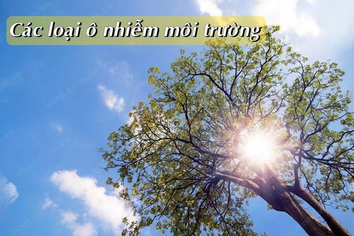 Hình ảnh minh họa số 1 về tình trạng ô nhiễm môi trường (Nguồn: Internet)
