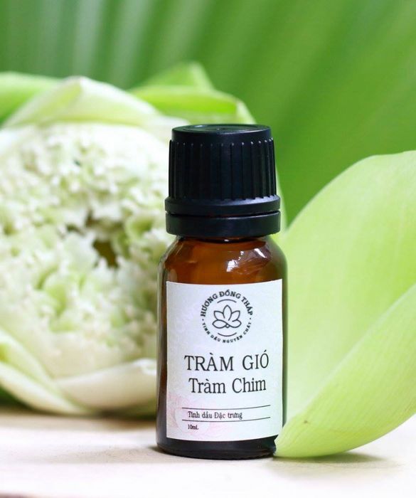 Hình ảnh không gian sản xuất tinh dầu tràm tại Hương Đồng Tháp