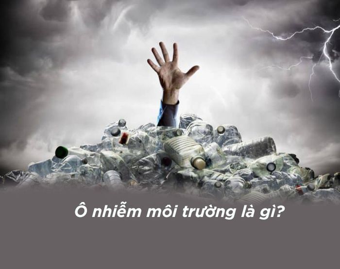 Hình ảnh minh họa số 1 về hậu quả ô nhiễm môi trường (Nguồn: Internet)