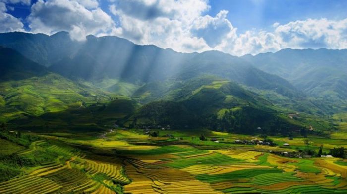 Hình ảnh minh họa sống động (Nguồn: Internet) - Ảnh 1