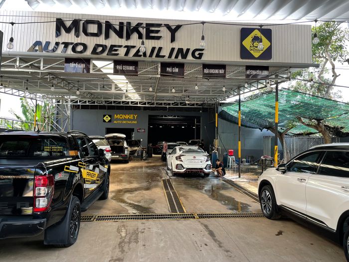 Monkey Detailing hình ảnh 2