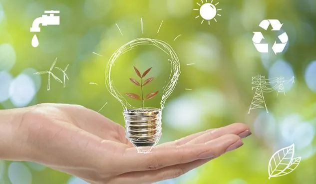 Hình ảnh minh họa sinh động (Nguồn: Sưu tầm)