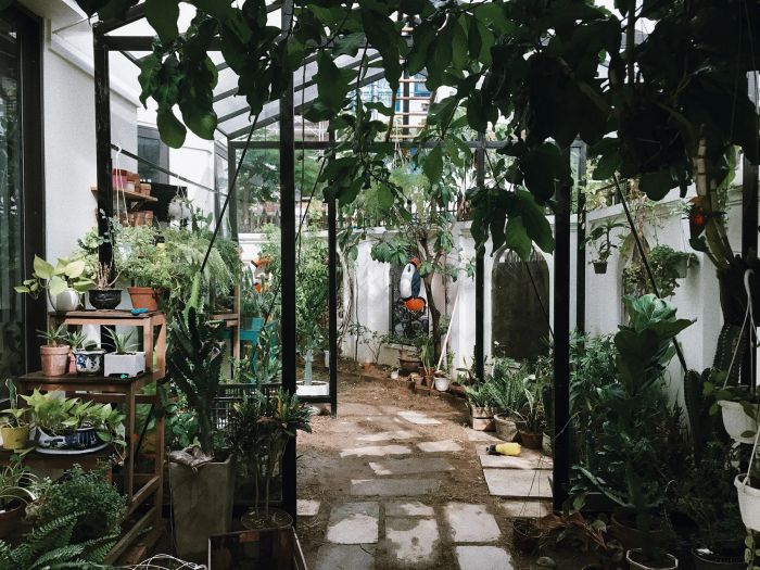 S: House ảnh 2