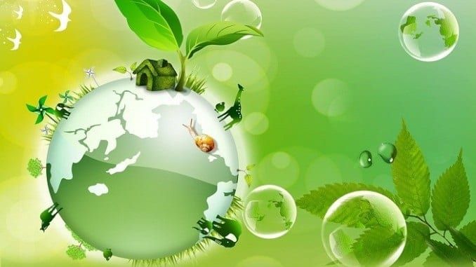 Hình ảnh minh họa số 1 về hậu quả ô nhiễm môi trường (Nguồn: Internet)