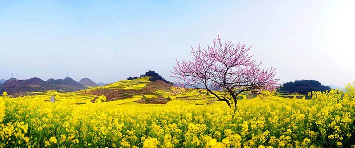 Hình ảnh: Mưa xuân tháng hai