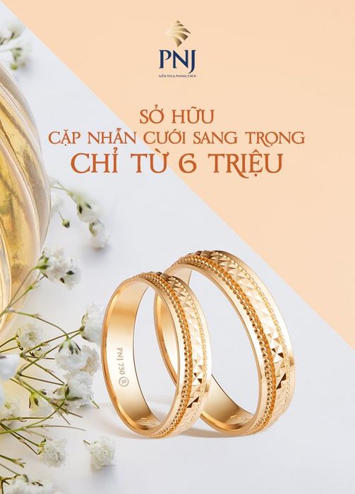 PNJ ảnh 1