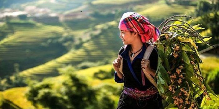 Tranh minh họa số 1 - Bức họa dân tộc (Nguồn: Internet)