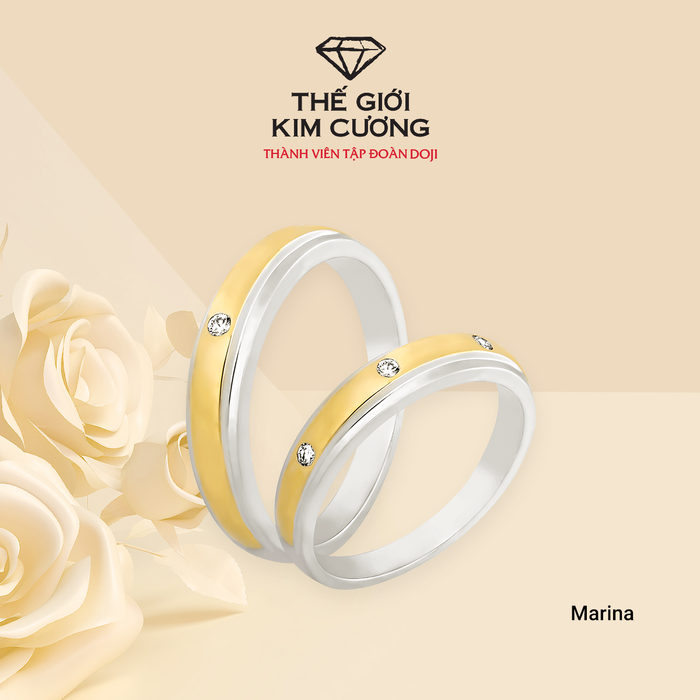 Thế Giới Kim Cương - Diamond World ảnh 3