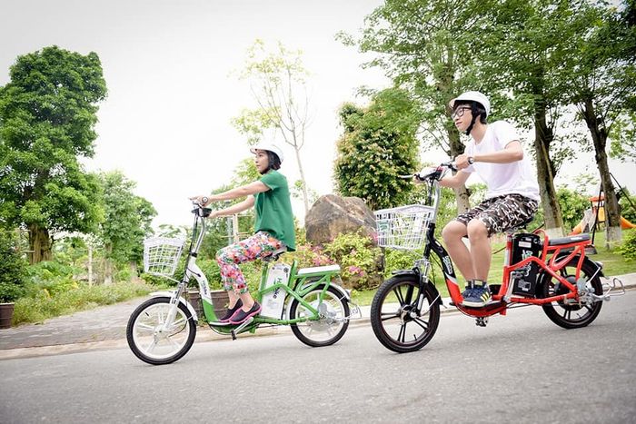 Trải nghiệm dịch vụ chuyên nghiệp cùng đội ngũ tư vấn