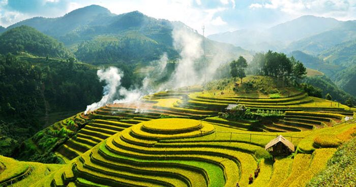 Hình ảnh minh họa sinh động (Nguồn: Internet) - Ảnh 1