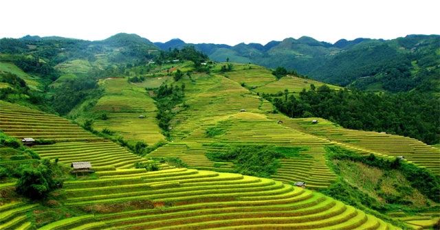 Hình ảnh minh họa đặc sắc (Nguồn: Internet) - Ảnh 1