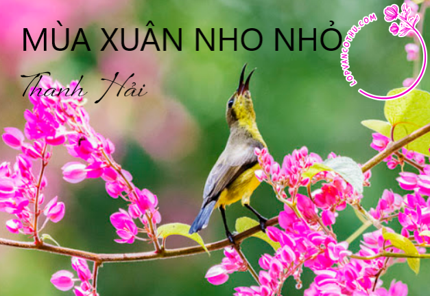 Ảnh minh họa cuối cùng với phong cách độc đáo (Nguồn: Internet)