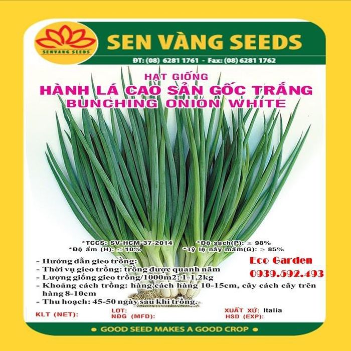 CÔNG TY HẠT GIỐNG SEN VÀNG - Hình ảnh 1