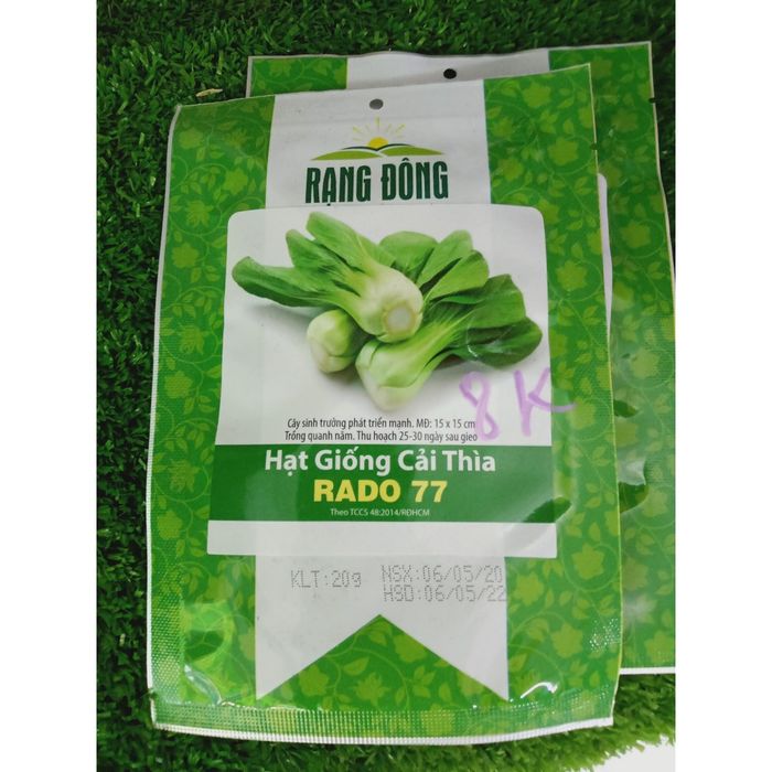 Hạt Giống Rạng Đông hình ảnh 1