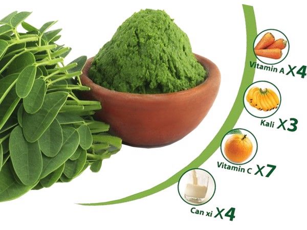 Bột chùm ngây Nam Nguyên Dược - Hình ảnh sản phẩm 2