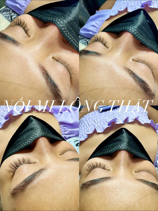 Hình ảnh quy trình nối mi chuyên nghiệp tại THƯ PHẠM Beauty Academy