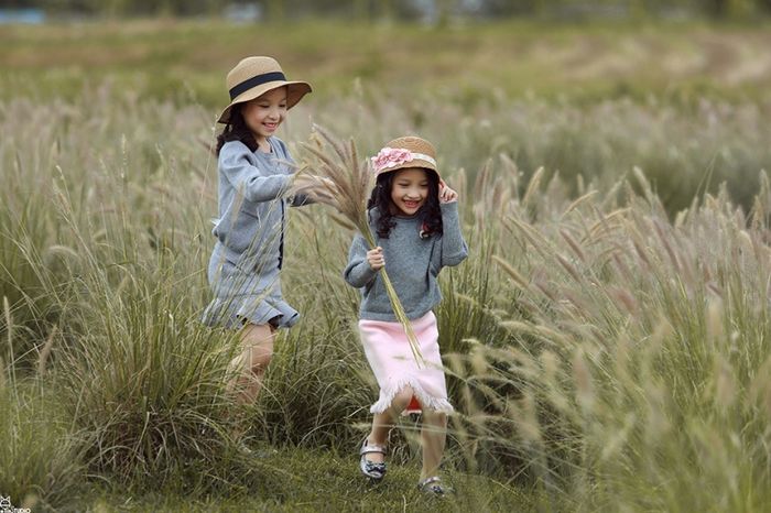 Hình ảnh minh họa số 1 - Nguồn ảnh từ kho tư liệu trực tuyến