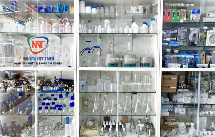 Hình ảnh không gian làm việc chuyên nghiệp tại Công ty Nguyên Việt Triều