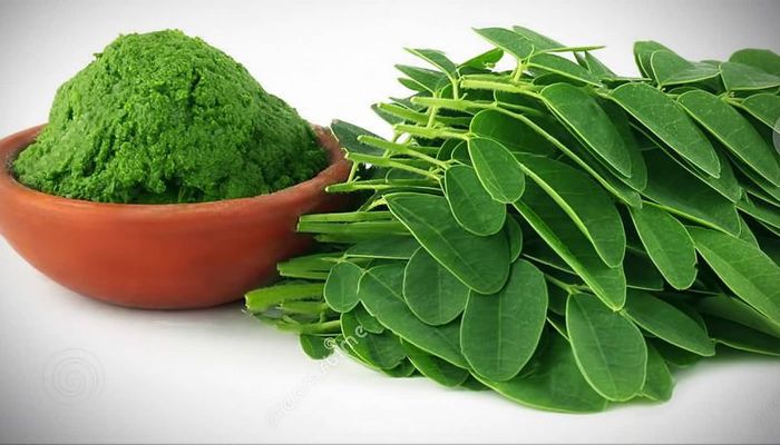 Bột chùm ngây Nam Nguyên Dược - Hình ảnh sản phẩm