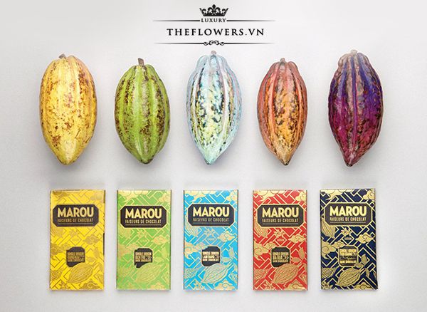 Bộ sưu tập socola thủ công Marou