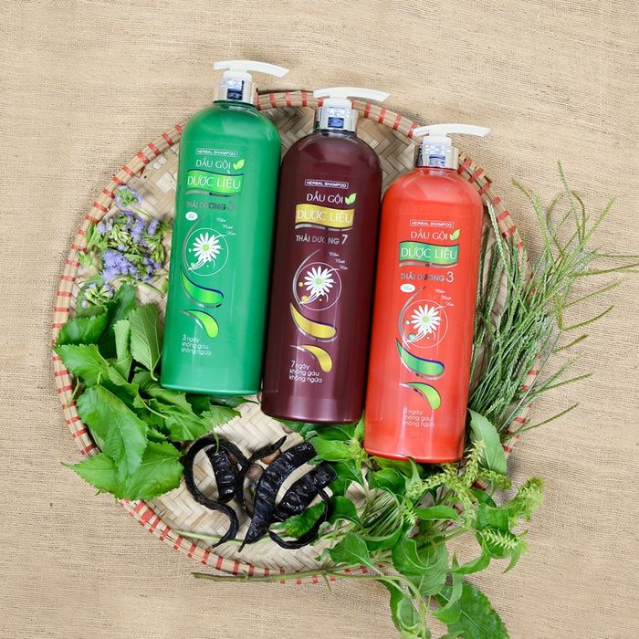 Bộ sưu tập hình ảnh chi tiết Dược Liệu Thái Dương