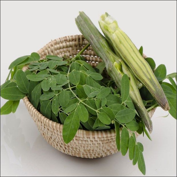 Nông sản Dũng Hà - Hình ảnh sản phẩm 2
