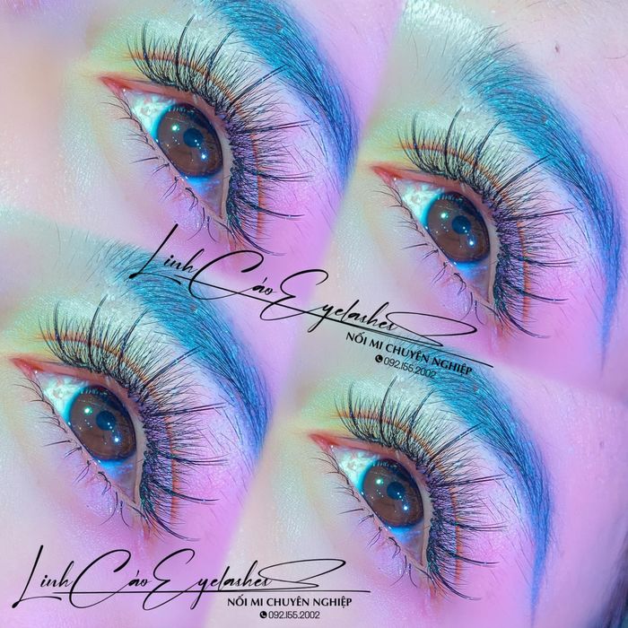 Linh Cáo Eyelashes Academy ảnh 1