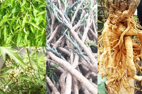 Quy trình đóng gói và bảo quản nông sản đạt chuẩn tại Nông sản Dũng Hà