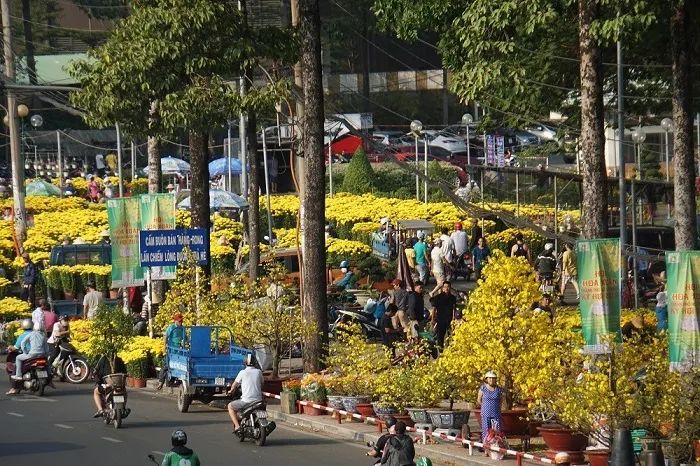 Không gian ngập tràn sắc hoa xuân (Nguồn: Sưu tầm)