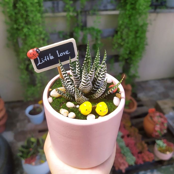 Ry's Garden hình ảnh 1