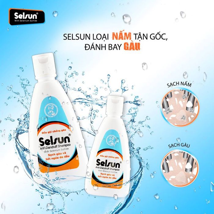 Dầu Gội Selsun Anti-Dandruff Shampoo Điều Trị Gàu, Nấm Và Ngứa Da Đầu – Hình Ảnh 2