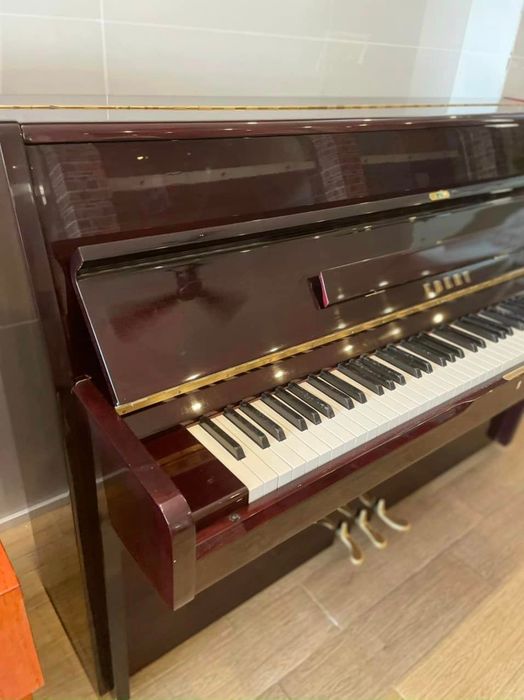 Bộ sưu tập nhạc cụ đa dạng tại Vibe Music Store