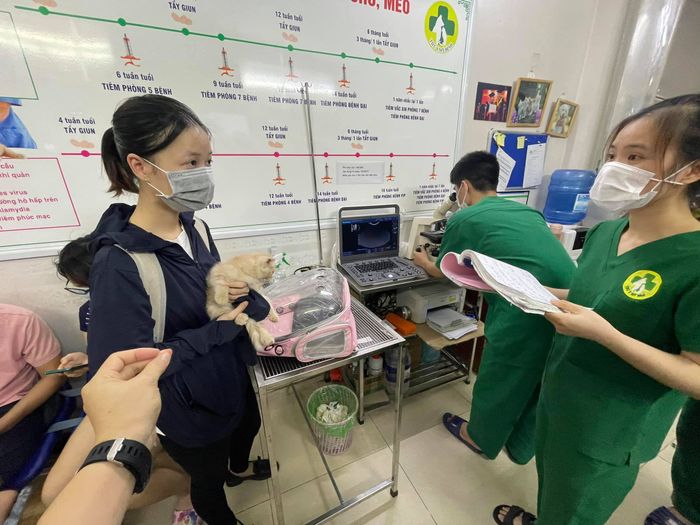 Phòng khám thú y Mai Dịch ảnh 2