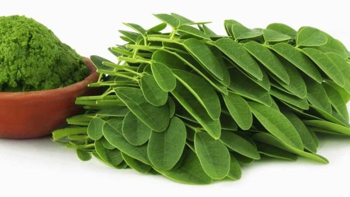 Thảo Dược Tấn Phát - Hình ảnh sản phẩm 2